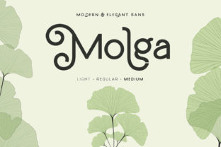Molga: A Sweet and Cool Display Font for Modern Designs